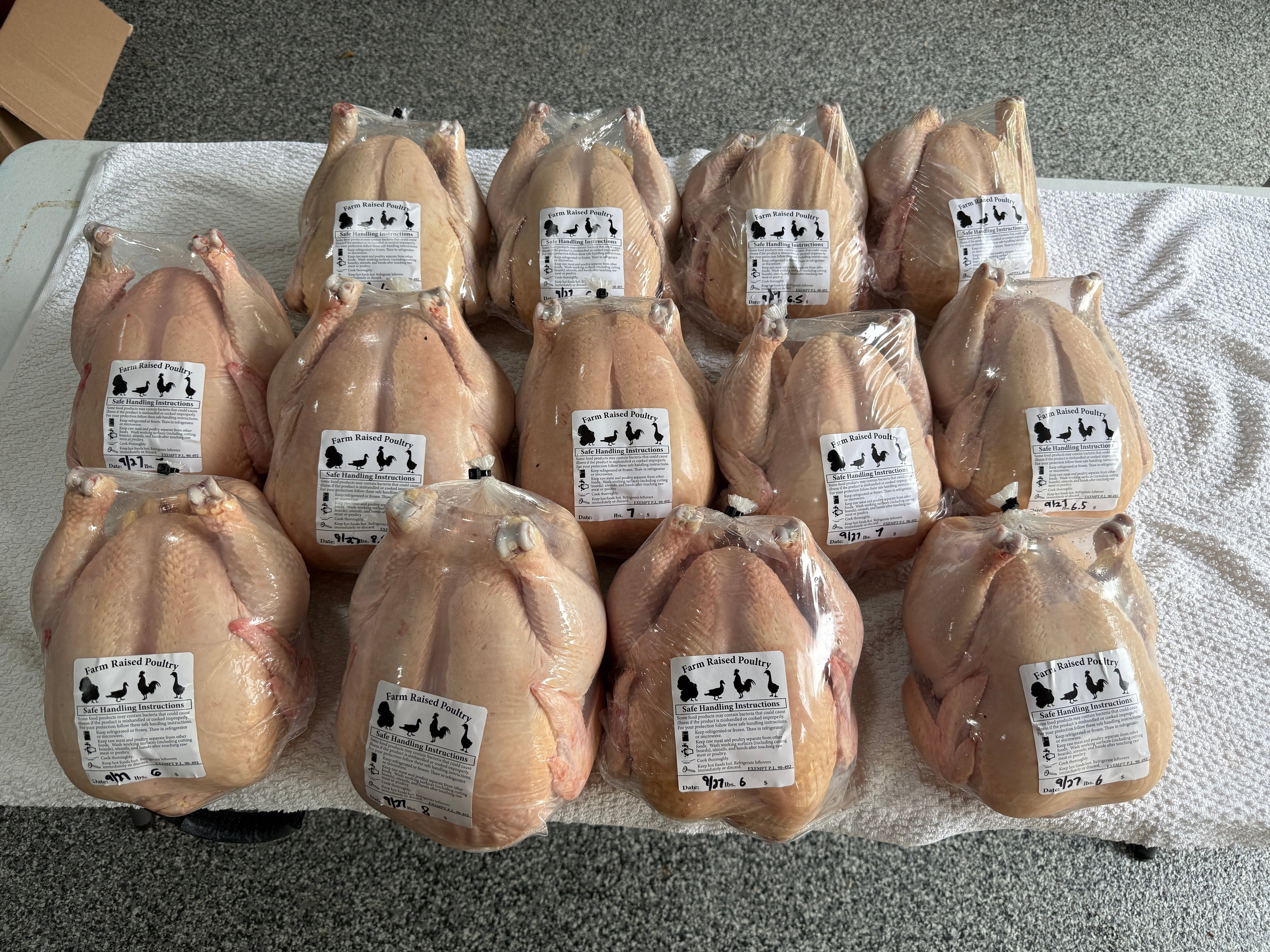 Pasture-Raised Chicken