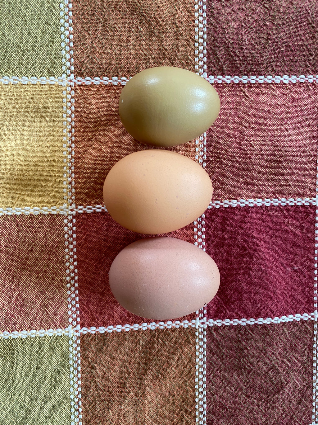 Farm Fresh Pastured Chicken Eggs