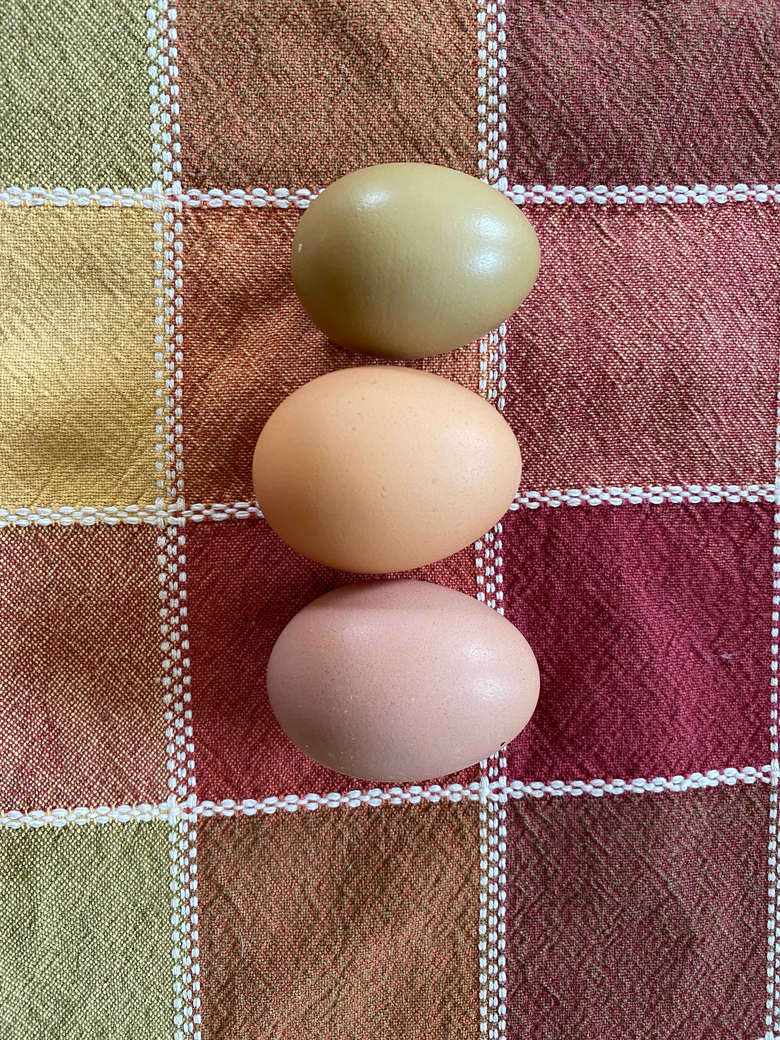 Farm Fresh Pastured Chicken Eggs