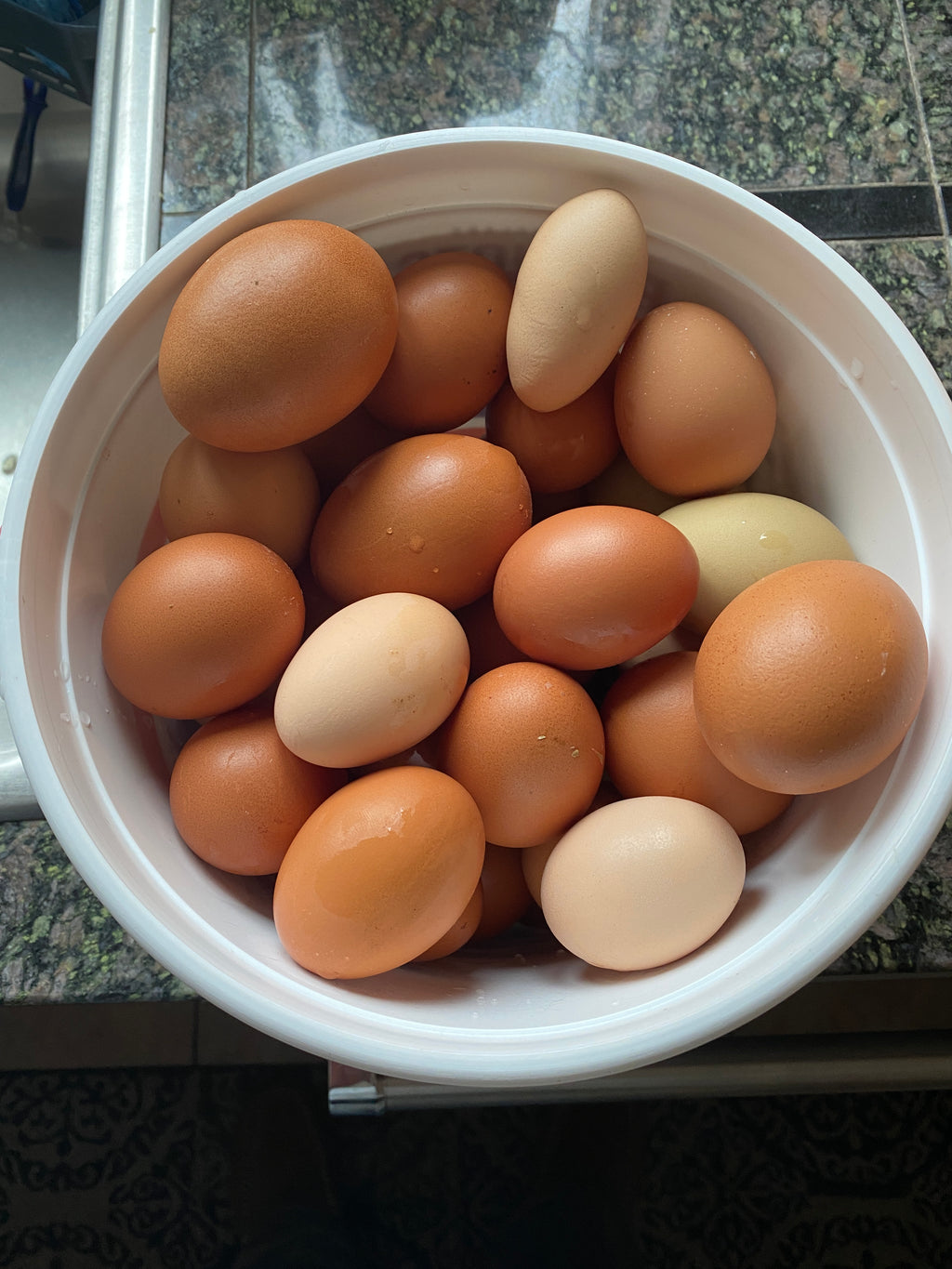Farm Fresh Pastured Chicken Eggs